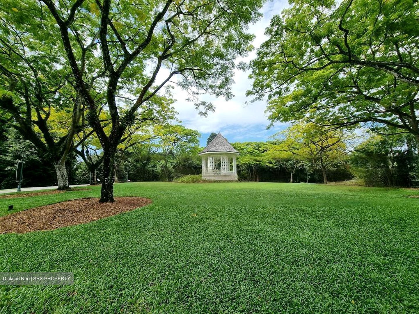 College Green (D11), Detached #461228671